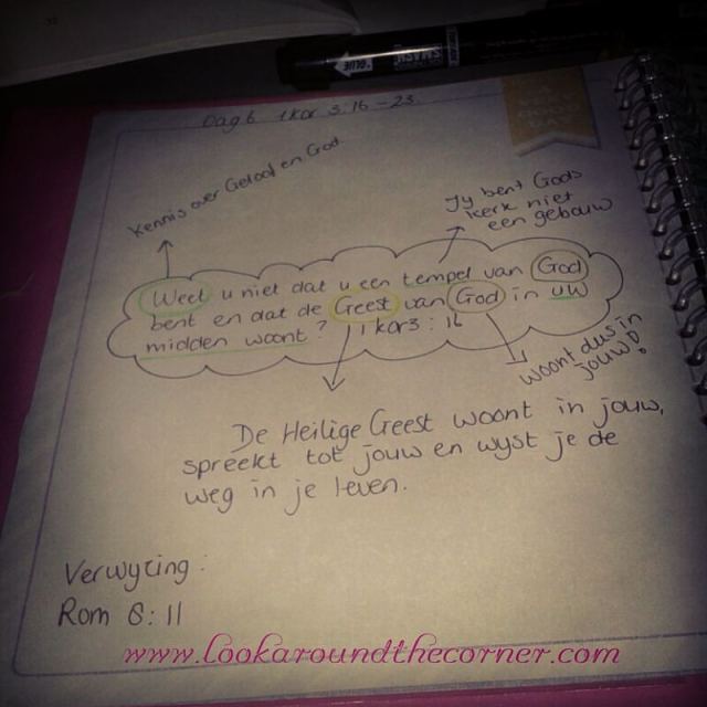 14232400_617606048419965_6096732683654670396_n