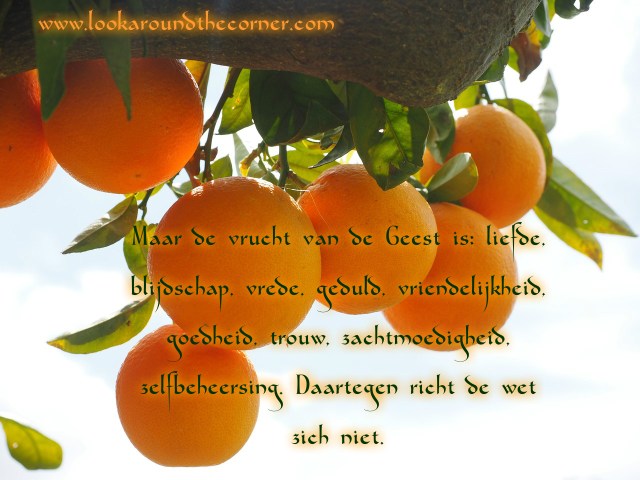 pizap.com14716139727932