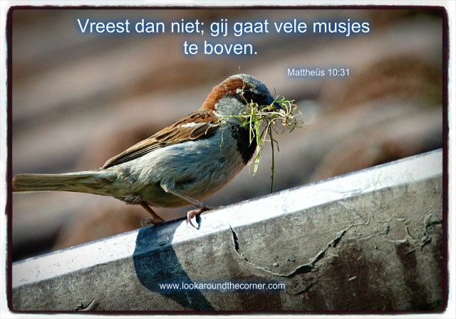 pizap-com14760440056971