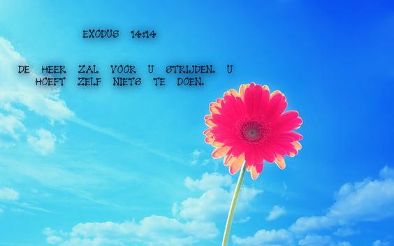 bee0993b217b4014741ad012f839a0bb