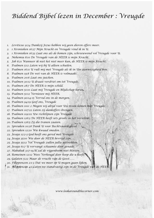 biddend-bijbel-lezen-in-december