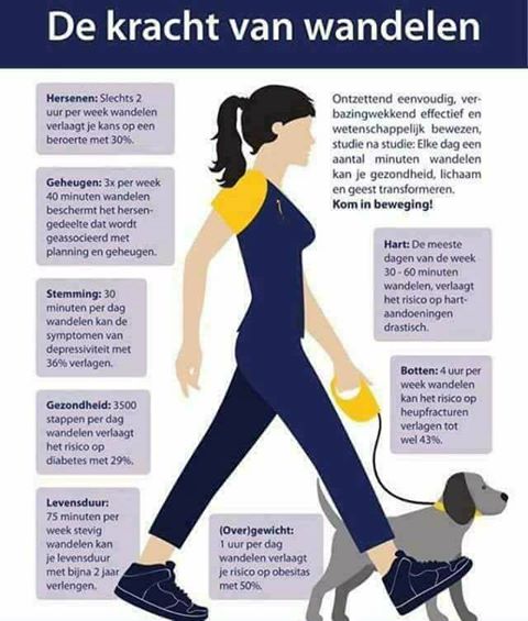 15873127_1829310823993573_6694945761608174374_n