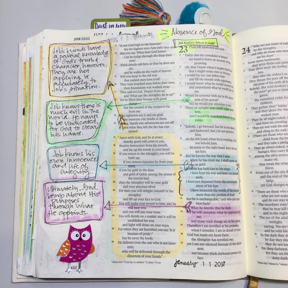 15940866_10211873014009316_2091482354143642358_n