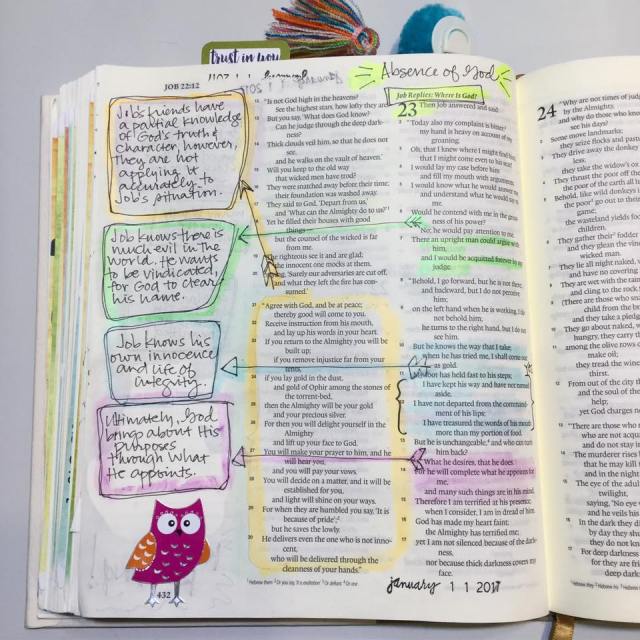 15940866_10211873014009316_2091482354143642358_n