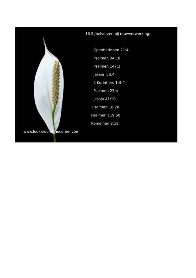 10 Bijbelverzen bij rouwverwerking.-1