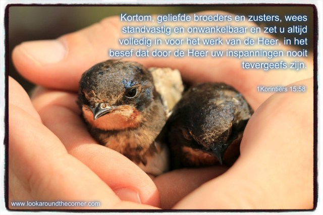 pizap.com14945788083881