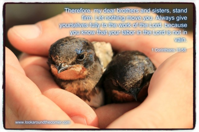 pizap.com14945789468341