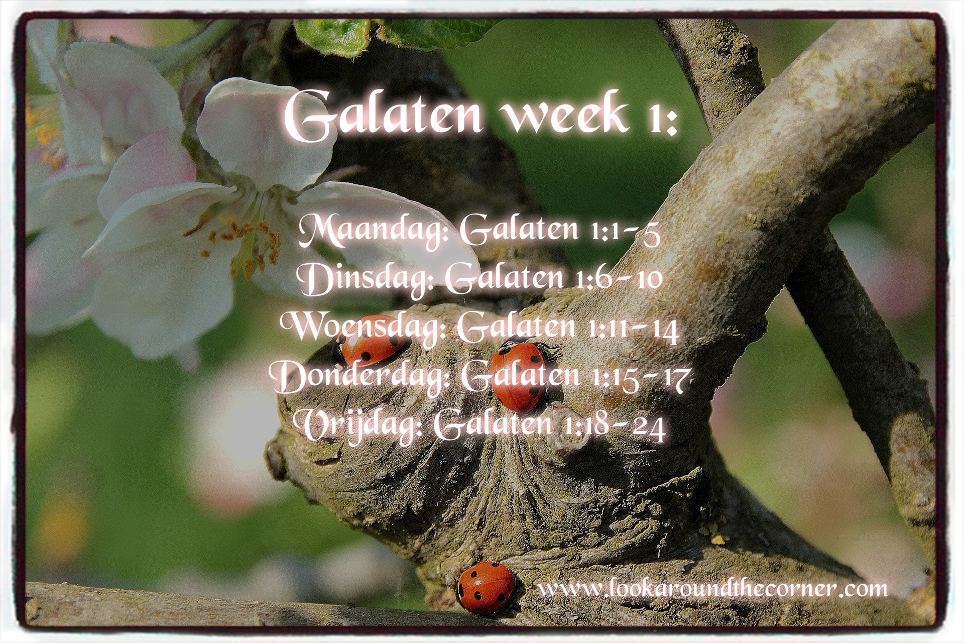 Galaten week 1