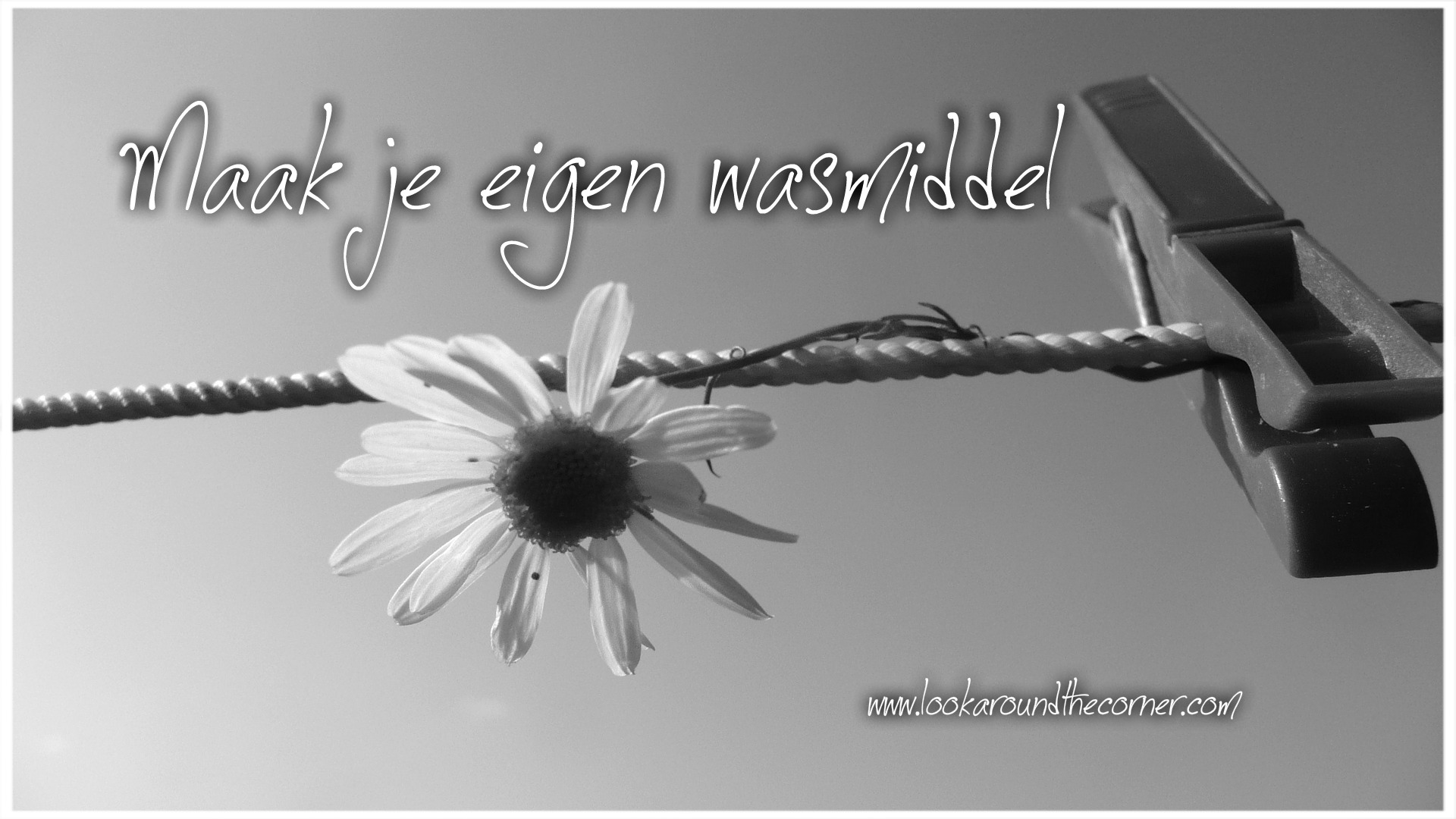 wasmiddel