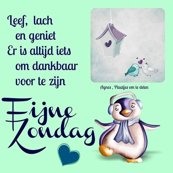 fijne-zondag1480238682