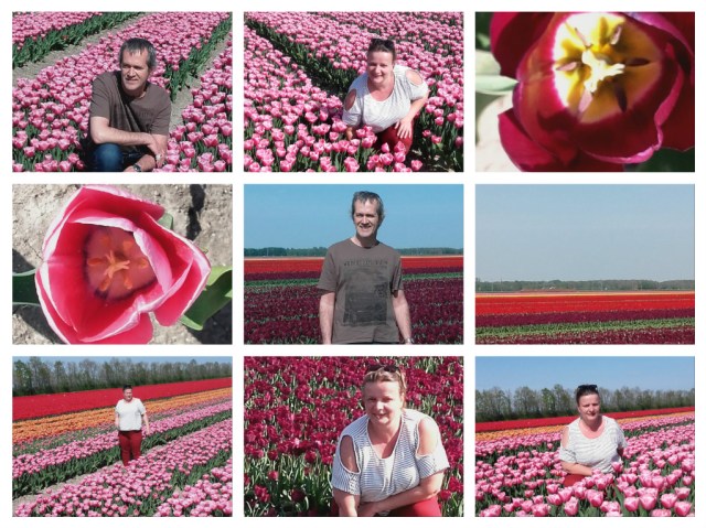 pizap.com15560021835611