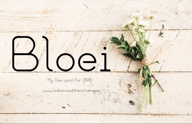 720558714pizapw1577547683