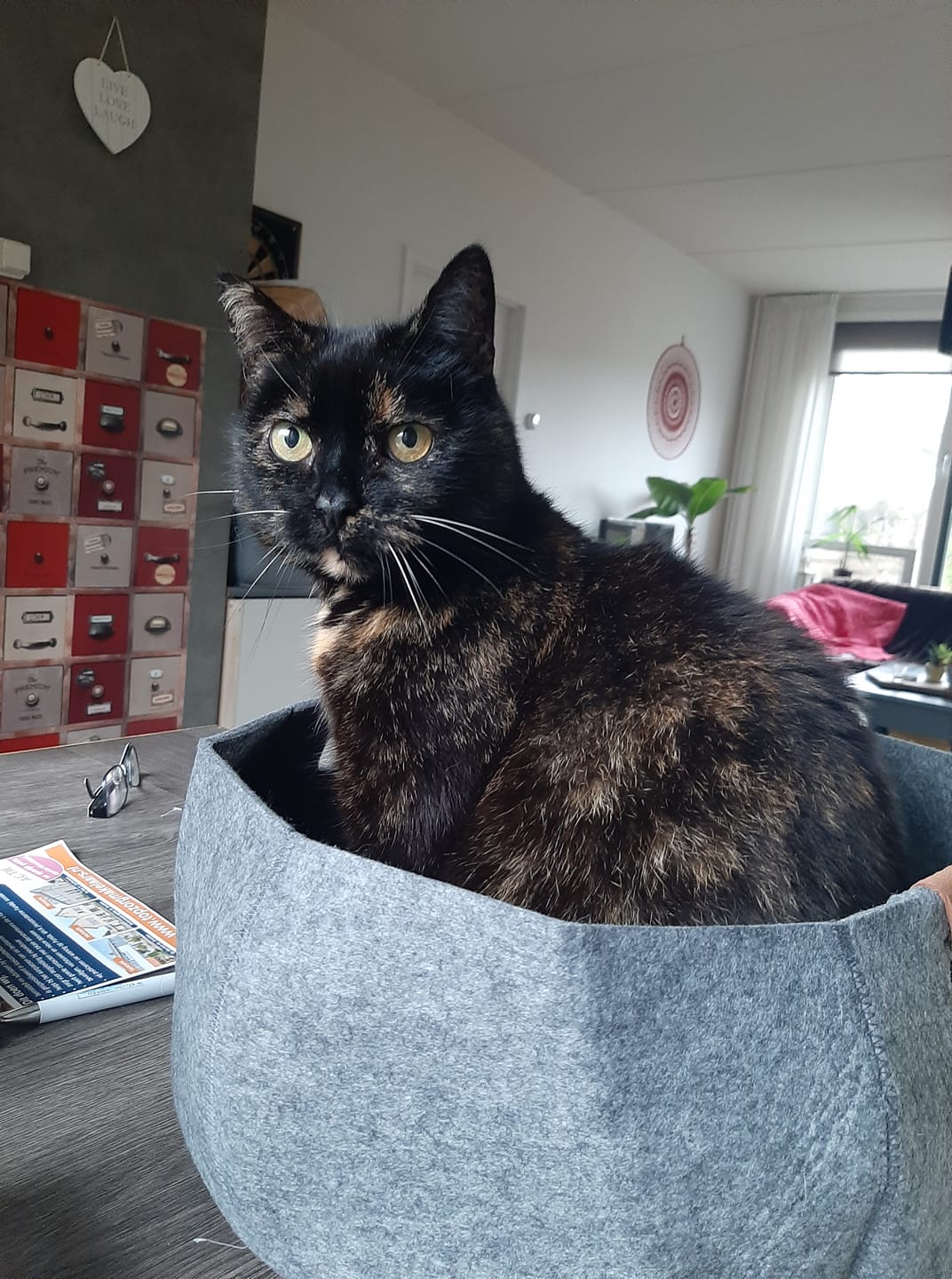 103373139_10157321014318715_1039509092109910016_o