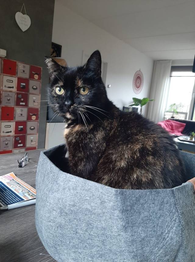 103373139_10157321014318715_1039509092109910016_o